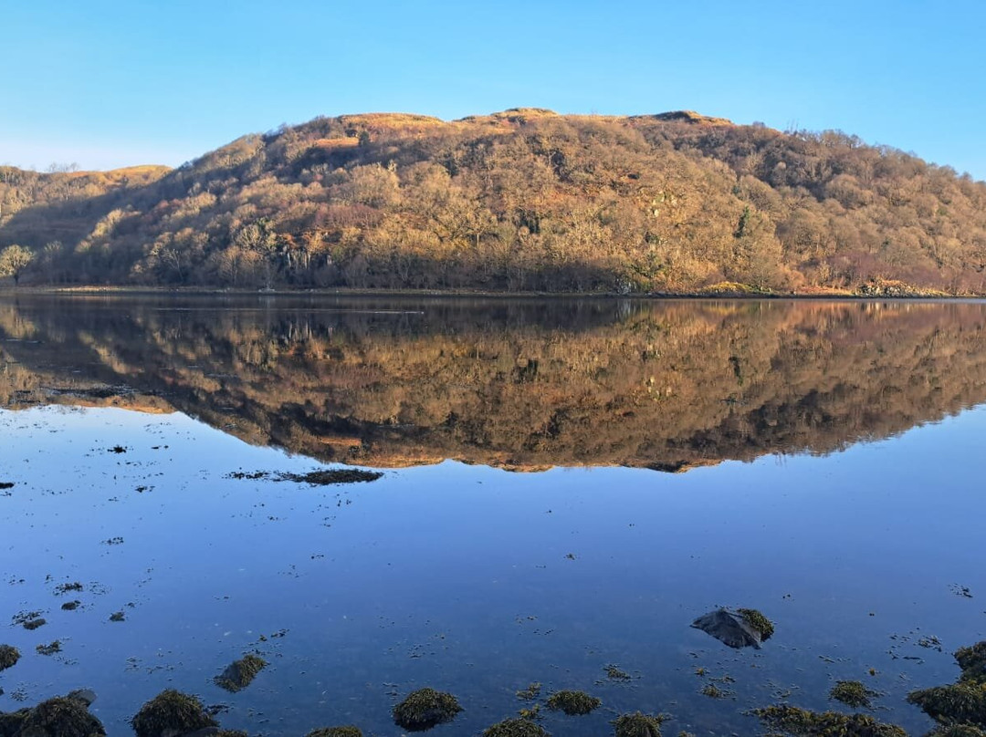 克尼波奇酒店主图