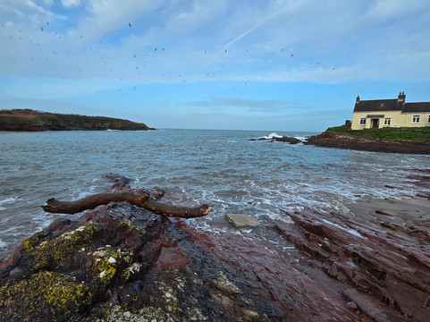 Wild Swim Wales-Broad Haven必去景点