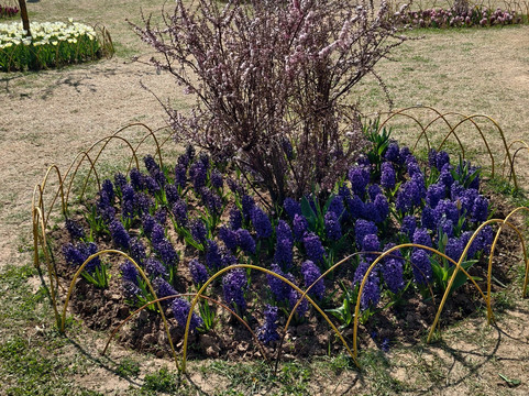 Himalayan walk Adventure-帕哈甘必去景点