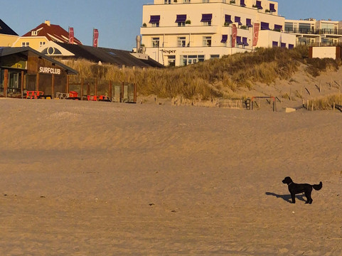 瓦思派尔酒店主图