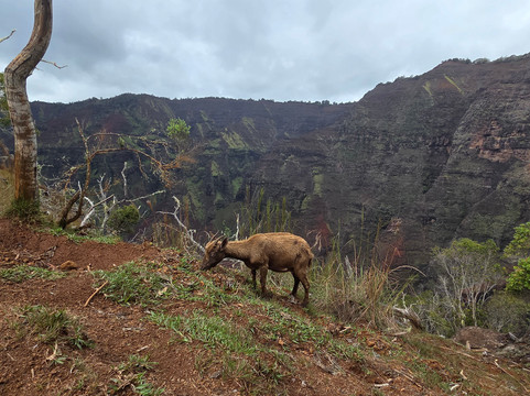 峡谷小道-威美亚必去景点
