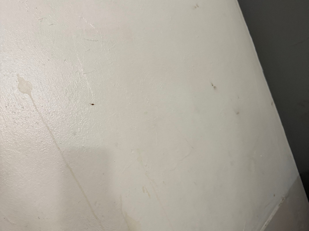 查尔斯顿豪斯特经济旅馆主图