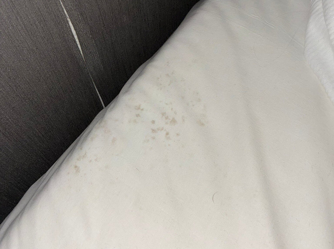 诺德施泰特广场高级公园酒店主图