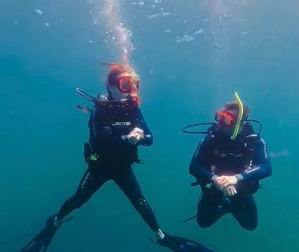 Rocket Frog Divers-Playas del Coco必去景点