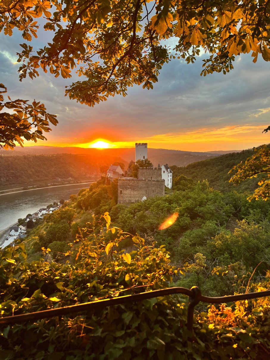 Hotel Castle Liebenstein-官方