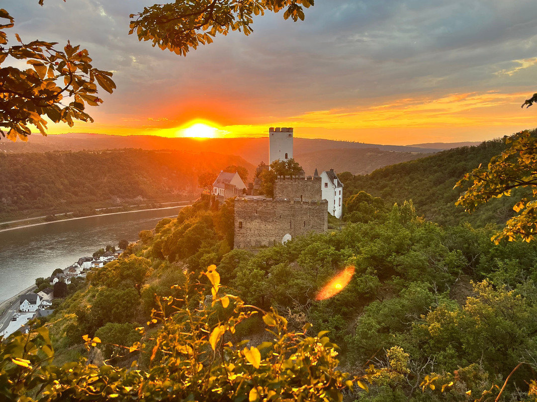 Hotel Castle Liebenstein主图