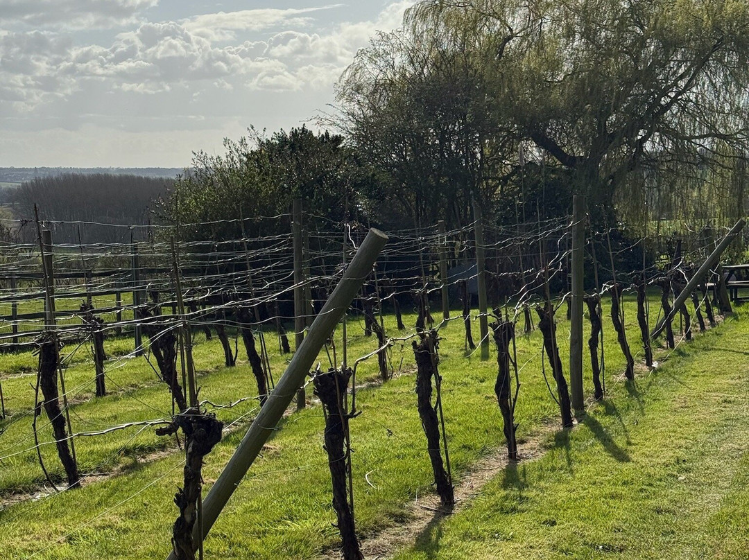 New Lodge Vineyard-Earls Barton必去景点