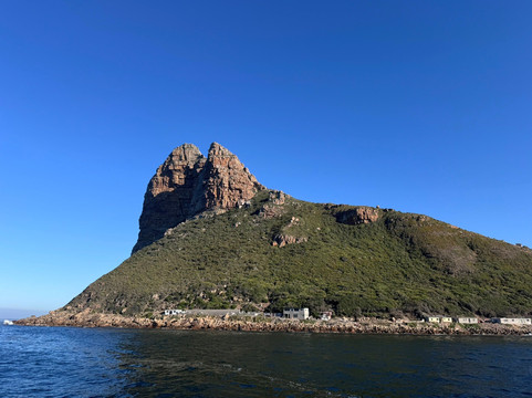 Seal Island-西开普必去景点