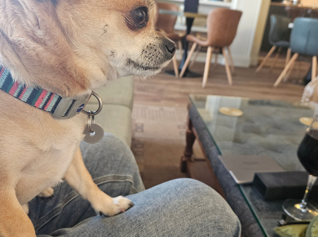 海滨别墅酒店主图