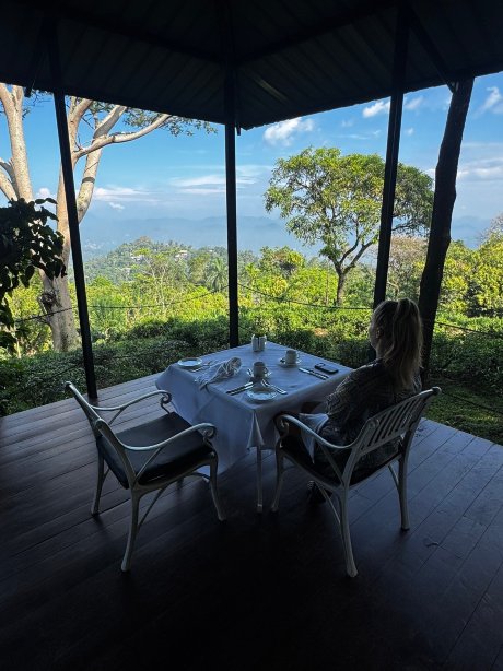 蒙巴顿别墅 · 黛玛系列-官方