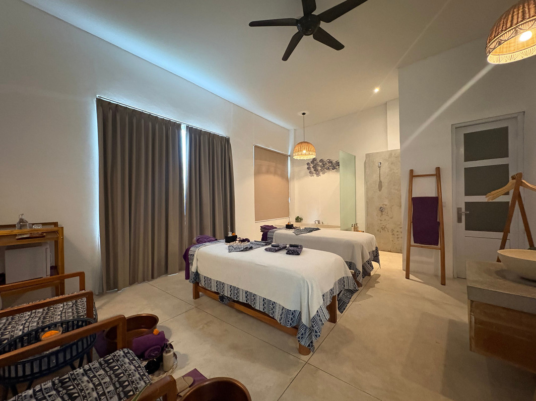 普拉玛纳自然努沙佩尼达酒店