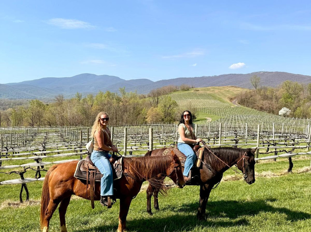 Indian Summer Guide Service-夏洛茨维尔必去景点