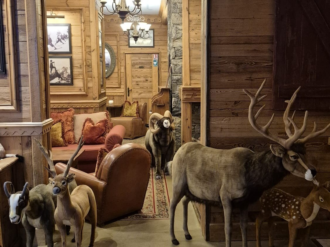 阿尔彭鲁伊特酒店主图