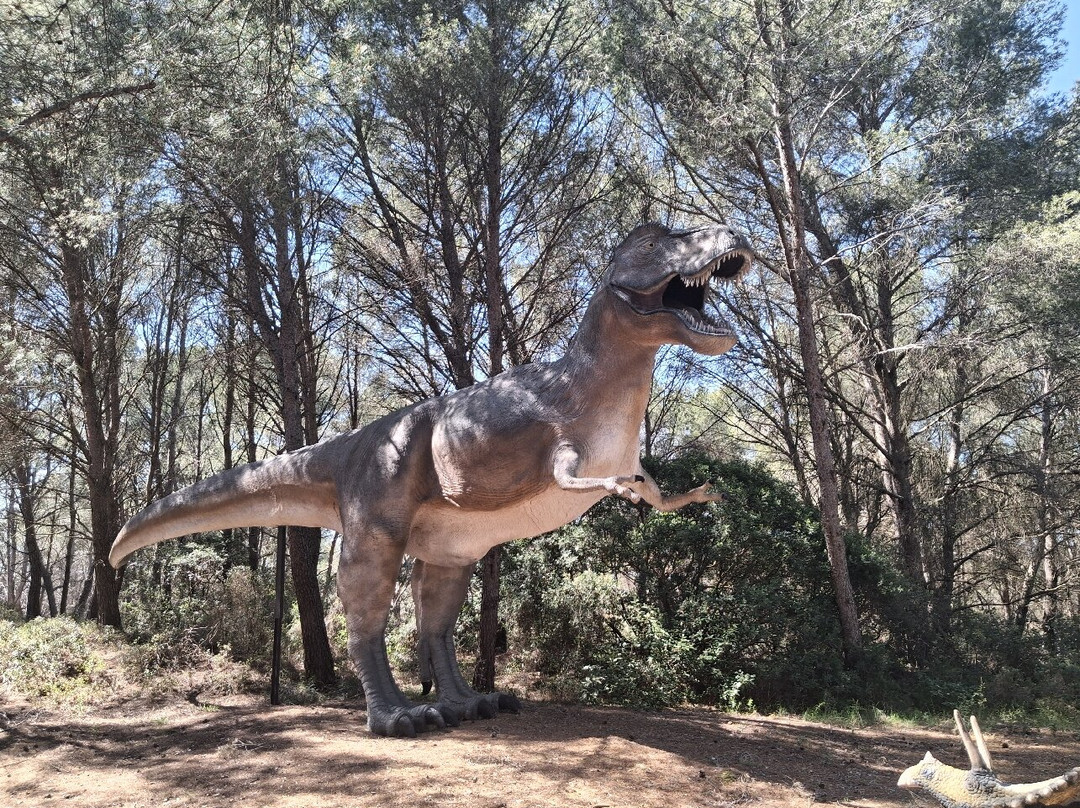 Musee - Parc des Dinosaures-Meze必去景点