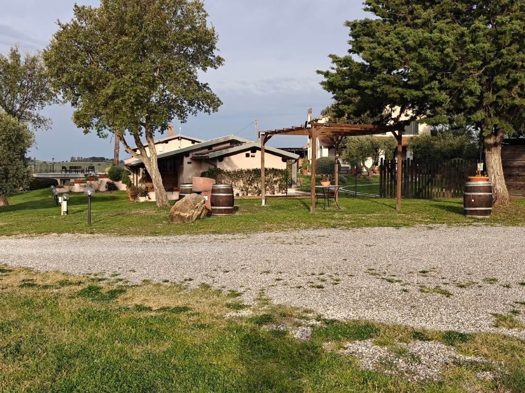 Agriturismo Lo Scalandrino 农家乐主图
