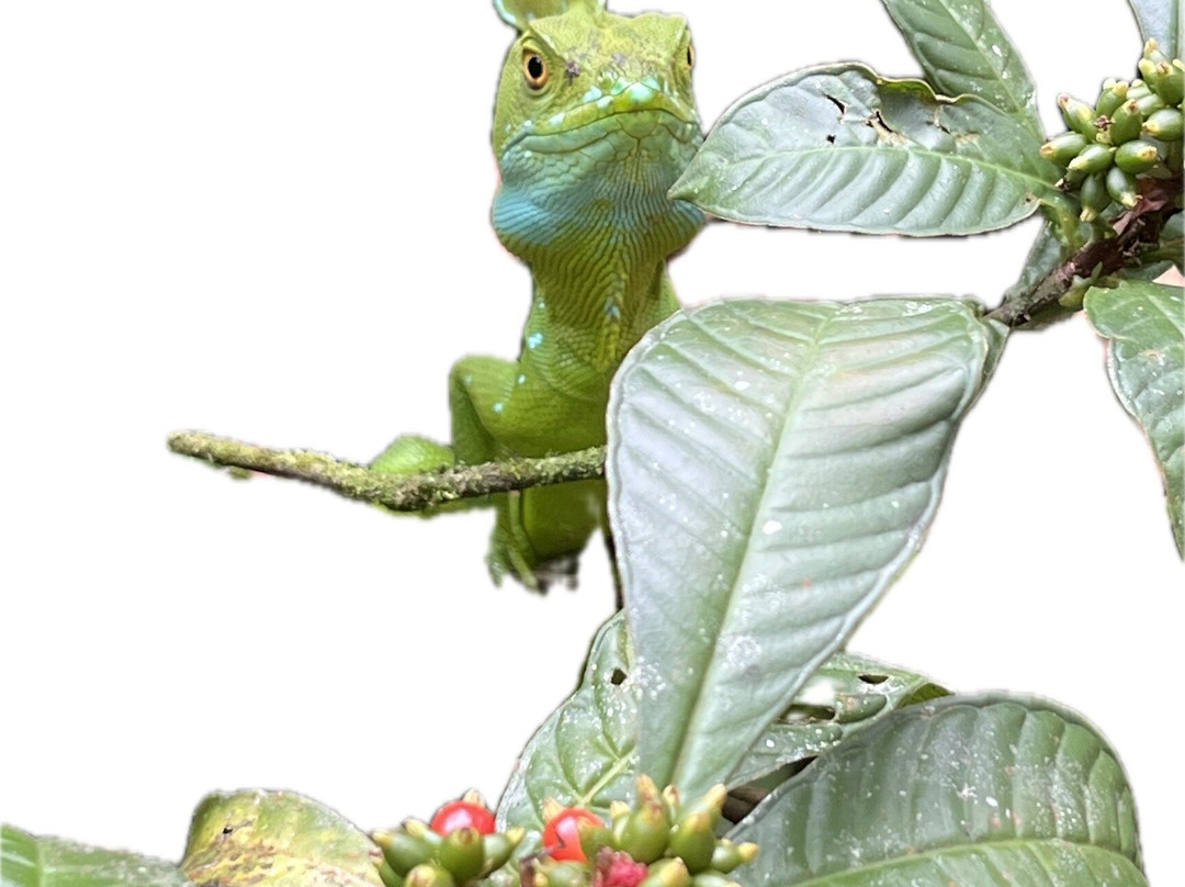 Kalkonu Travel-Ciudad Colon必去景点