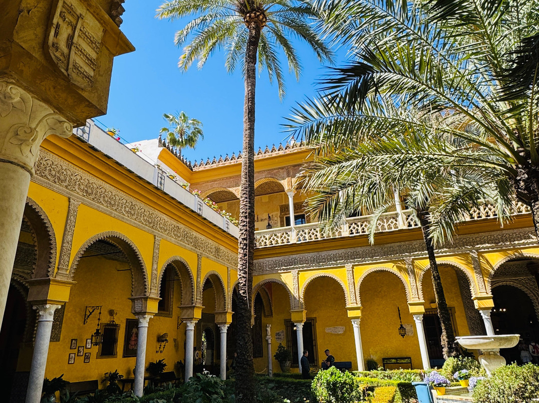 Palacio De Las Duenas-塞维利亚必去景点