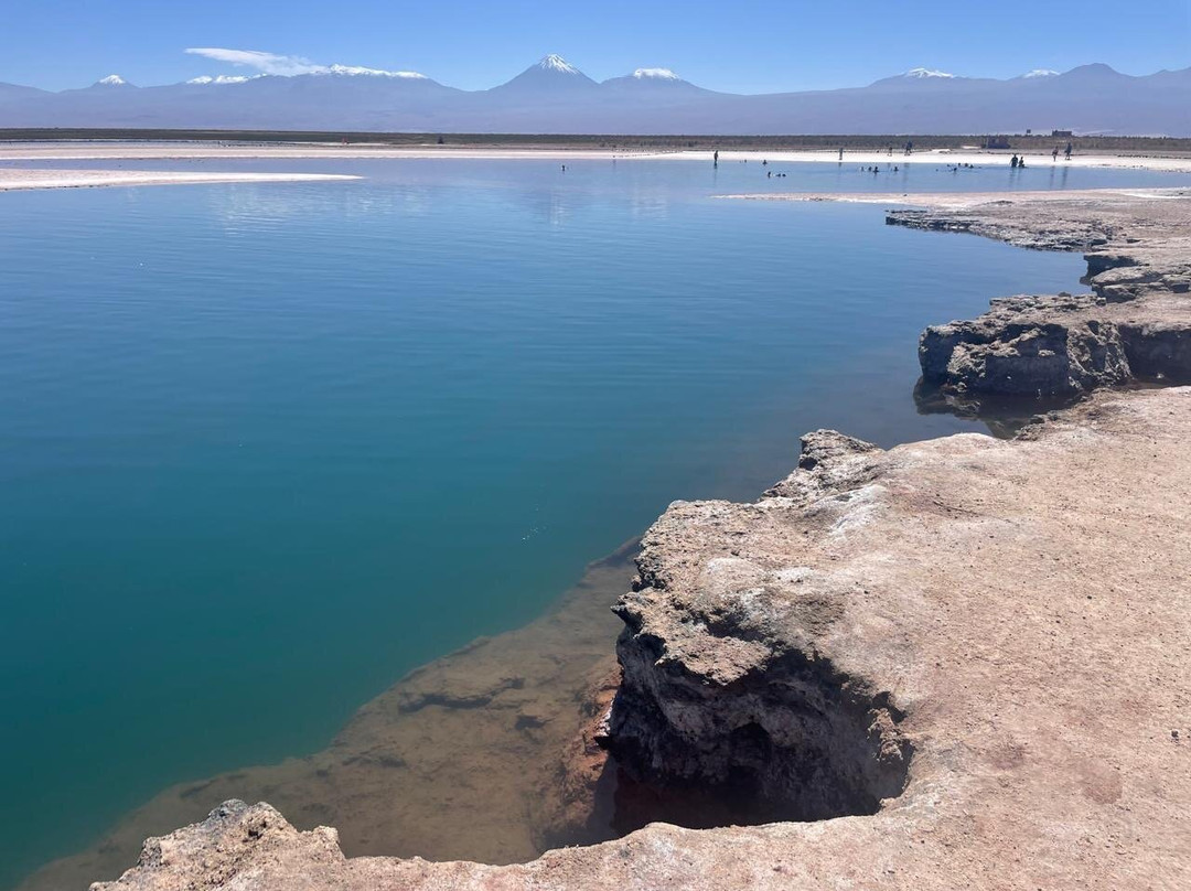 Laguna Cejar-圣佩德罗-德阿塔卡马必去景点
