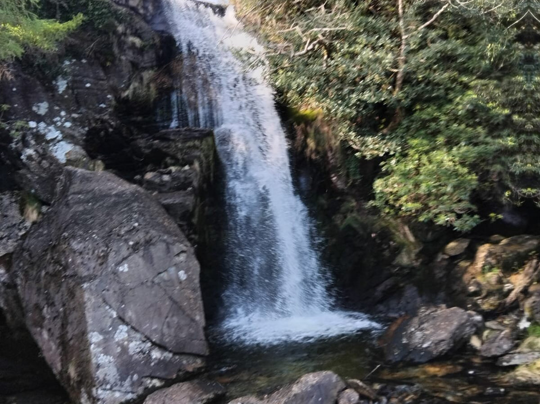 Ffestiniog & Welsh Highland Railways-波特马多克必去景点