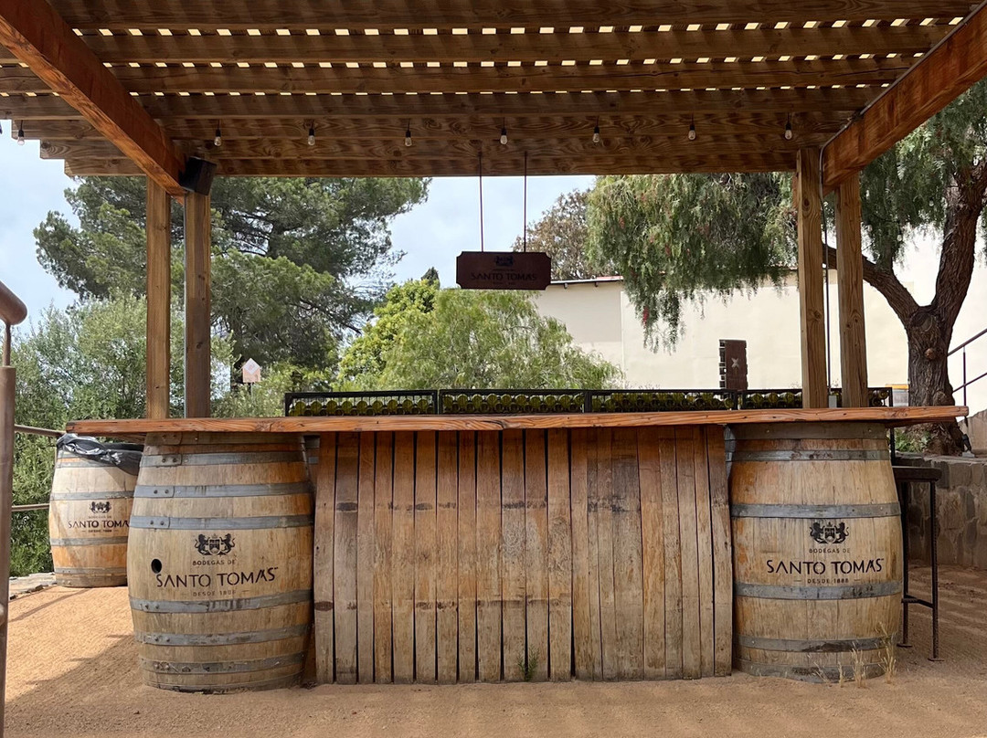 Bodegas De Santo Tomás-恩塞纳达必去景点