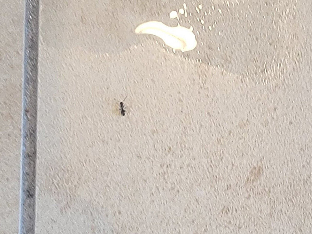 渥太华机场希尔顿欢朋酒店主图