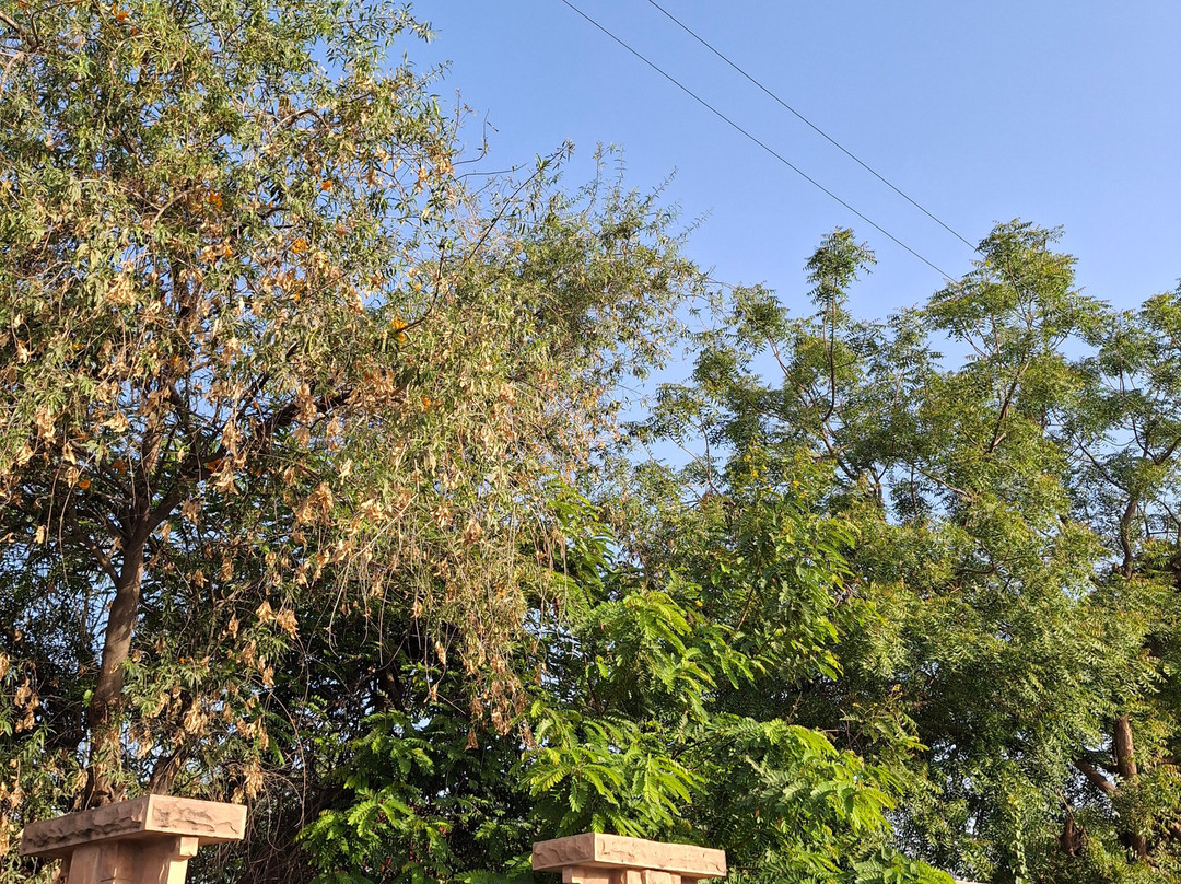 Khamma Heritage主图