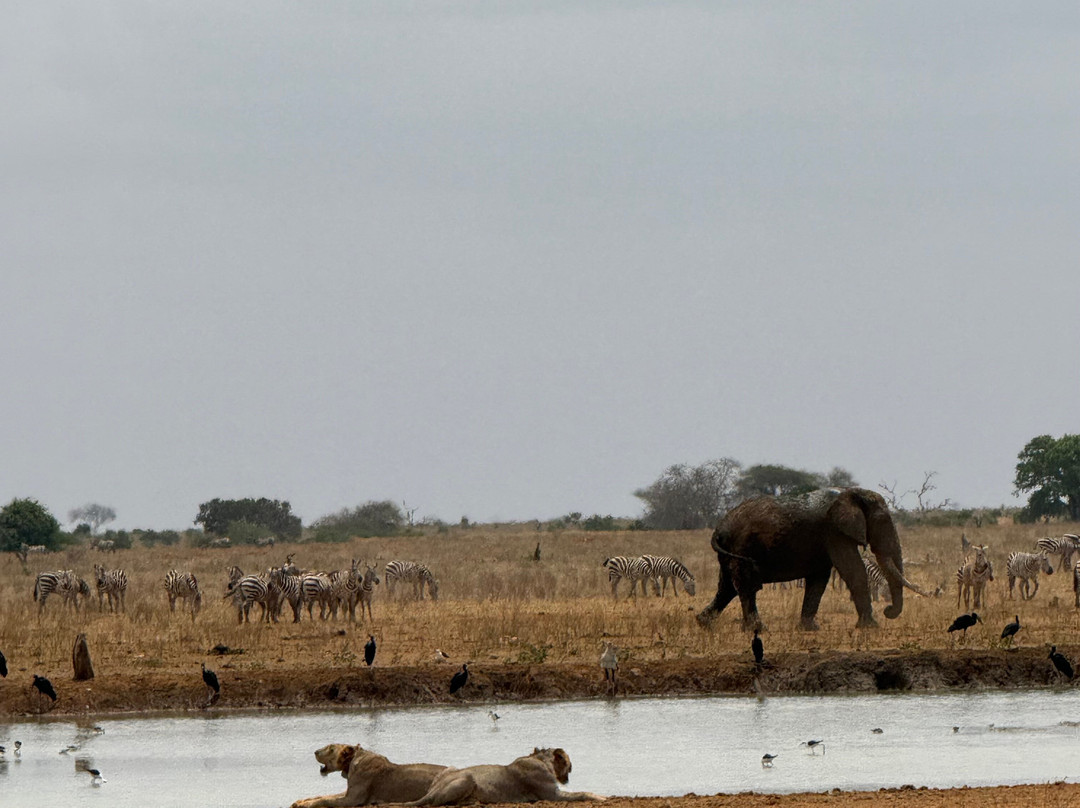 Eddison Safari Kenya-瓦塔木必去景点
