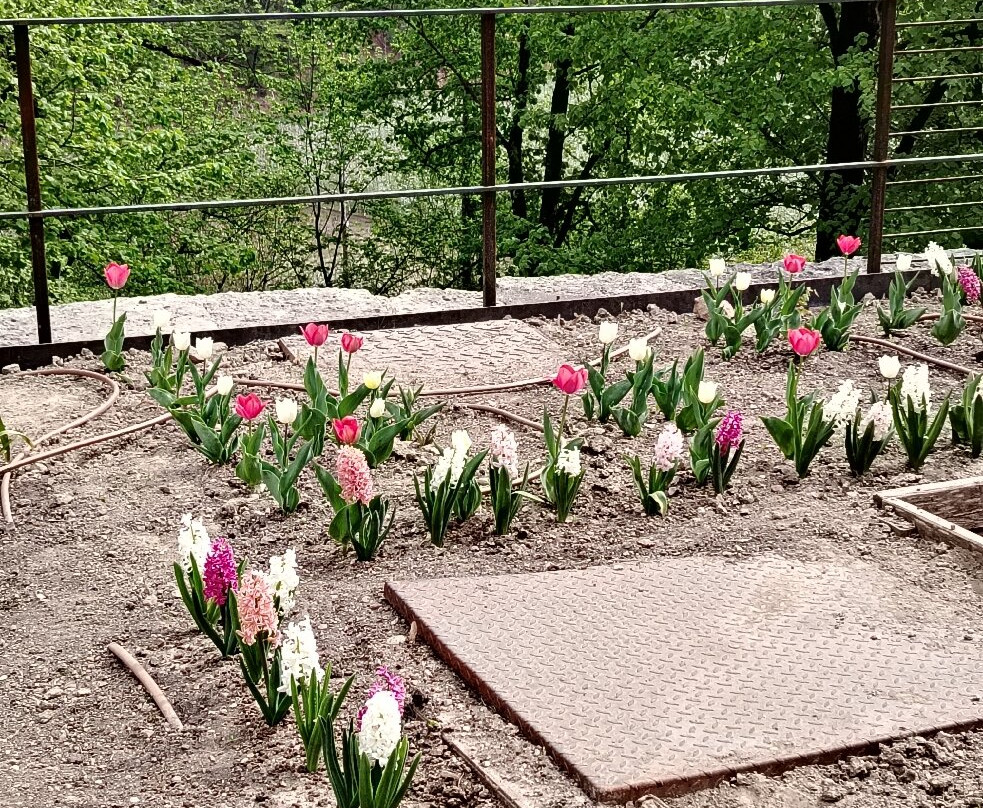 Castel Thun-Ton必去景点