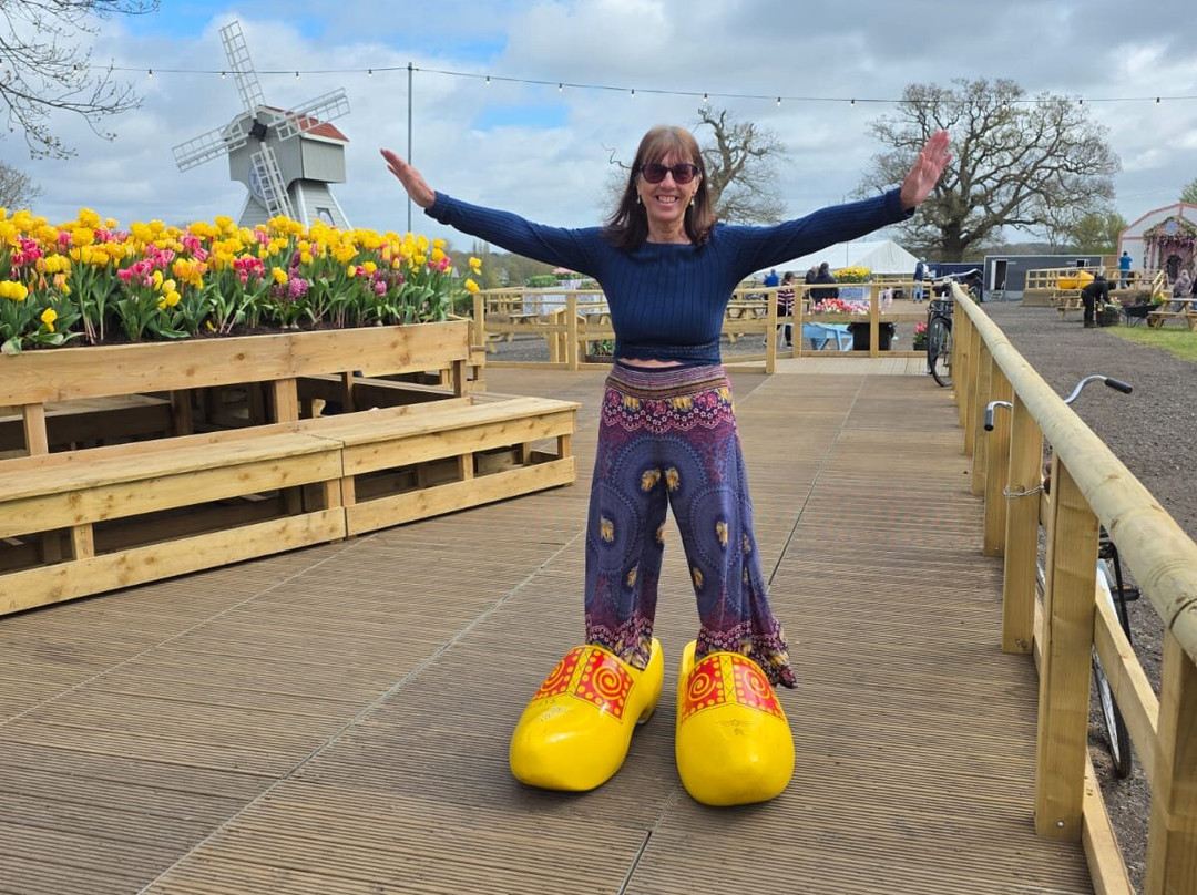 Tulleys Tulip Garden - Warwickshire-沃里克必去景点