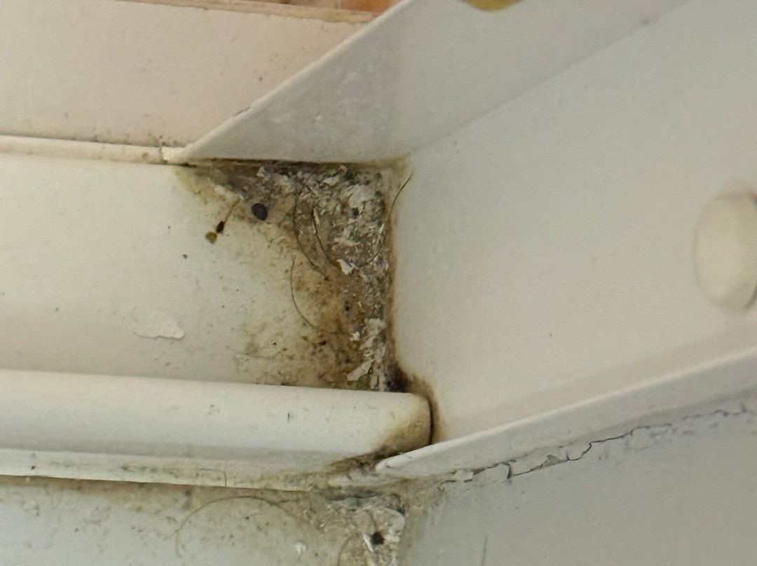 海湾汽车旅馆主图