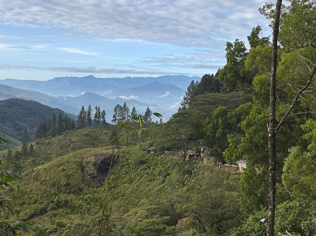 Nipuna Knuckles Trekking-康提必去景点