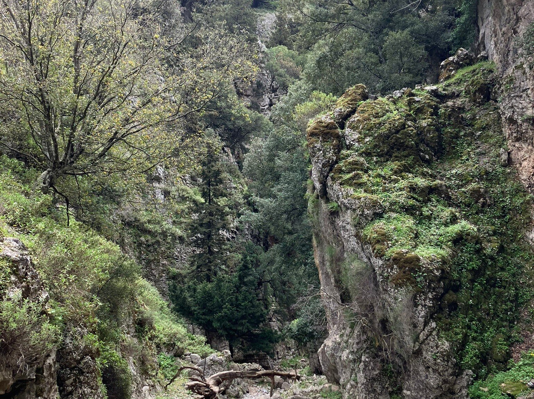 Imbros Gorge-克里特岛必去景点