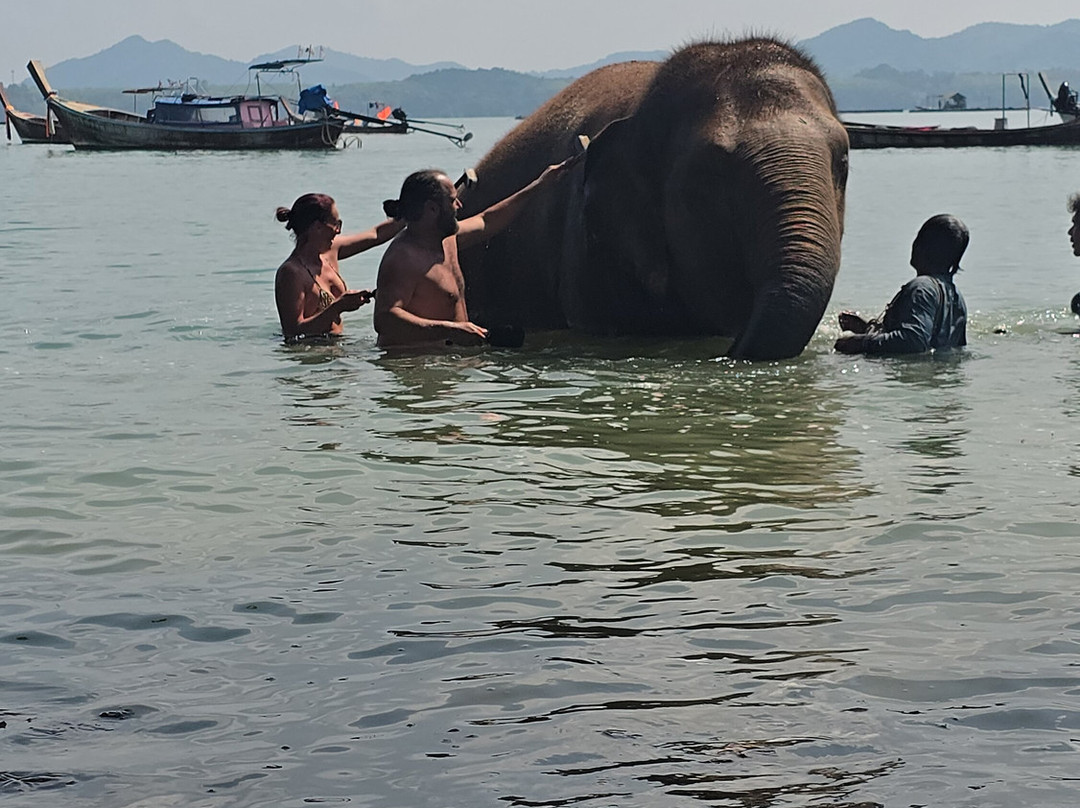 Koh Yao Elephant Beach-阁耀亚伊岛必去景点