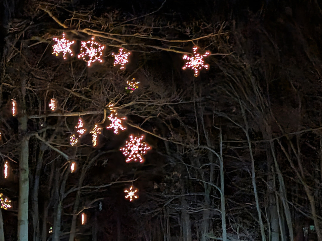 Coastal Maine Botanical Gardens-Boothbay必去景点