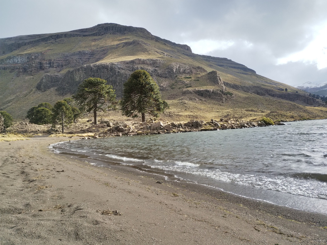 Laguna Hualcupen-Caviahue必去景点
