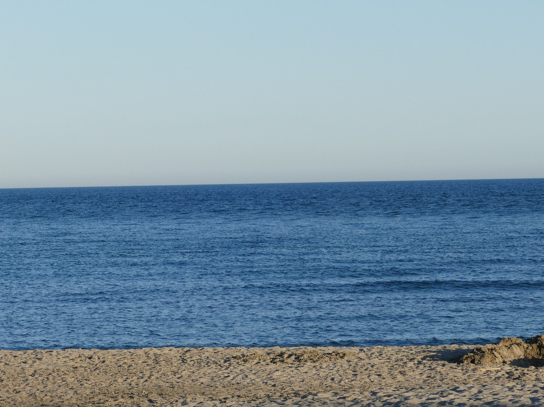 Plage Rive Gauche-帕拉瓦莱弗洛必去景点