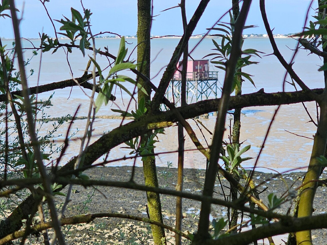Ile Madame-Port-des-Barques必去景点