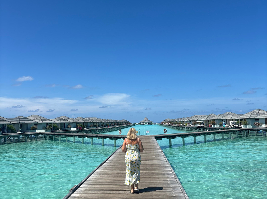 阳光岛别墅公园主图