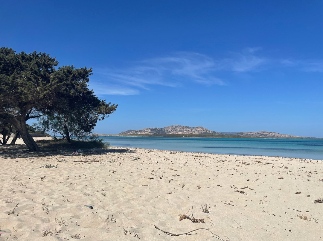 La Pelosa Beach-斯廷蒂诺必去景点