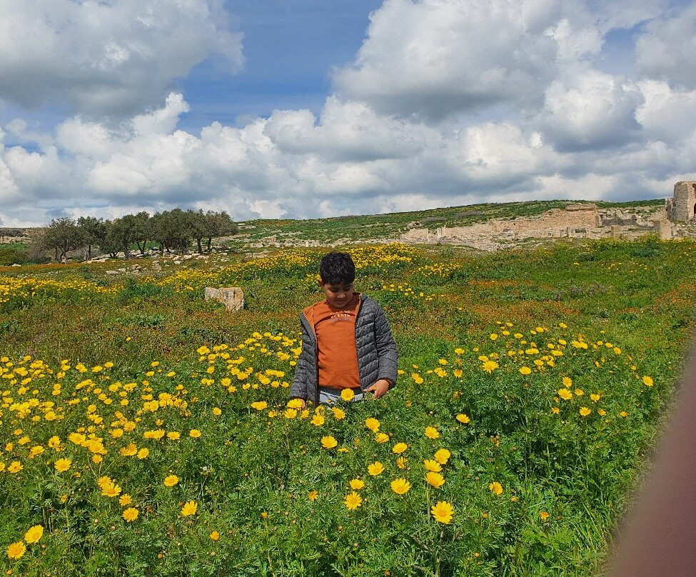 Dougga-Teboursouk必去景点