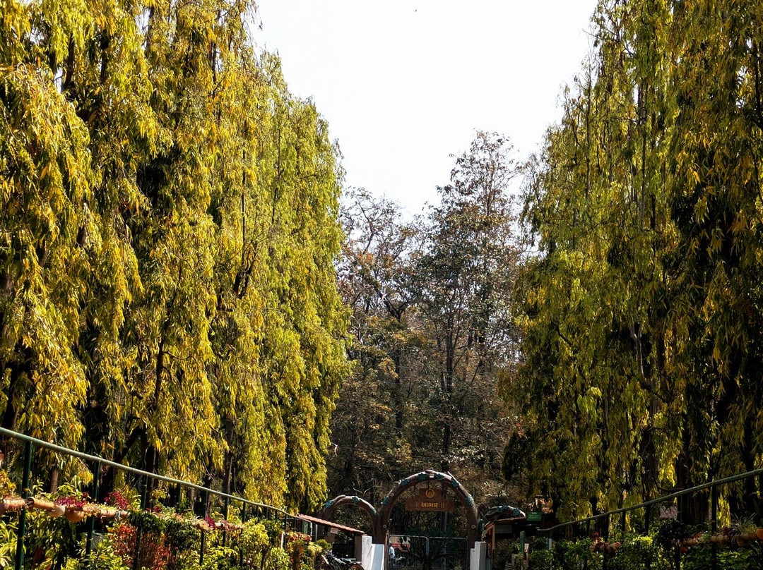 Waghai Botanical Garden-Saputara必去景点