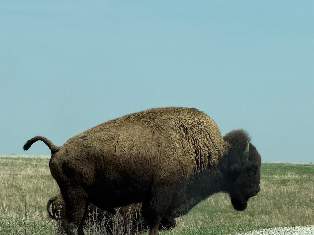 Neal Smith National Wildlife Refuge and Prairie Learning Center-Prairie City必去景点