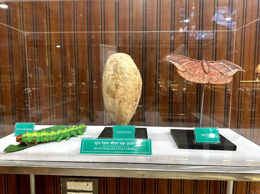 silk Interpretation Centre-潘恰玛必去景点