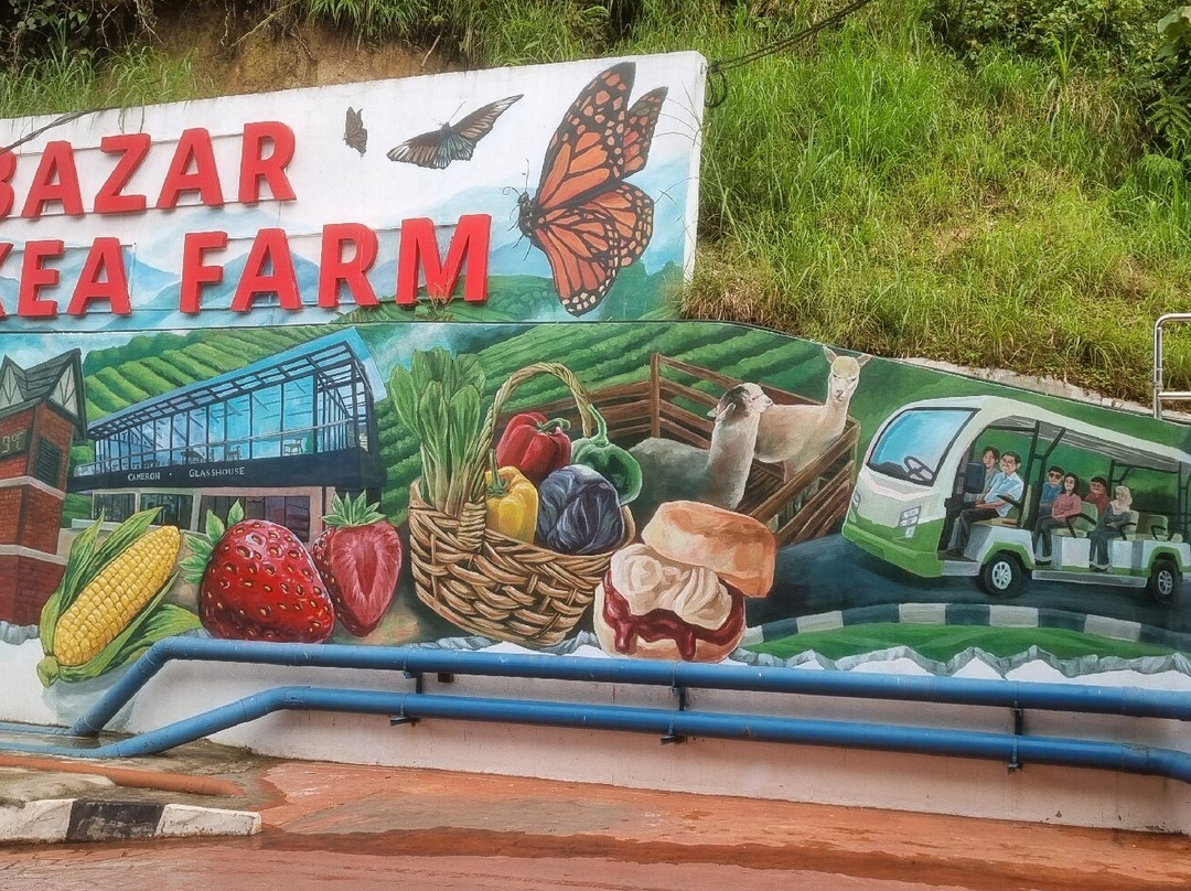 Kea Farm Market-碧兰璋必去景点