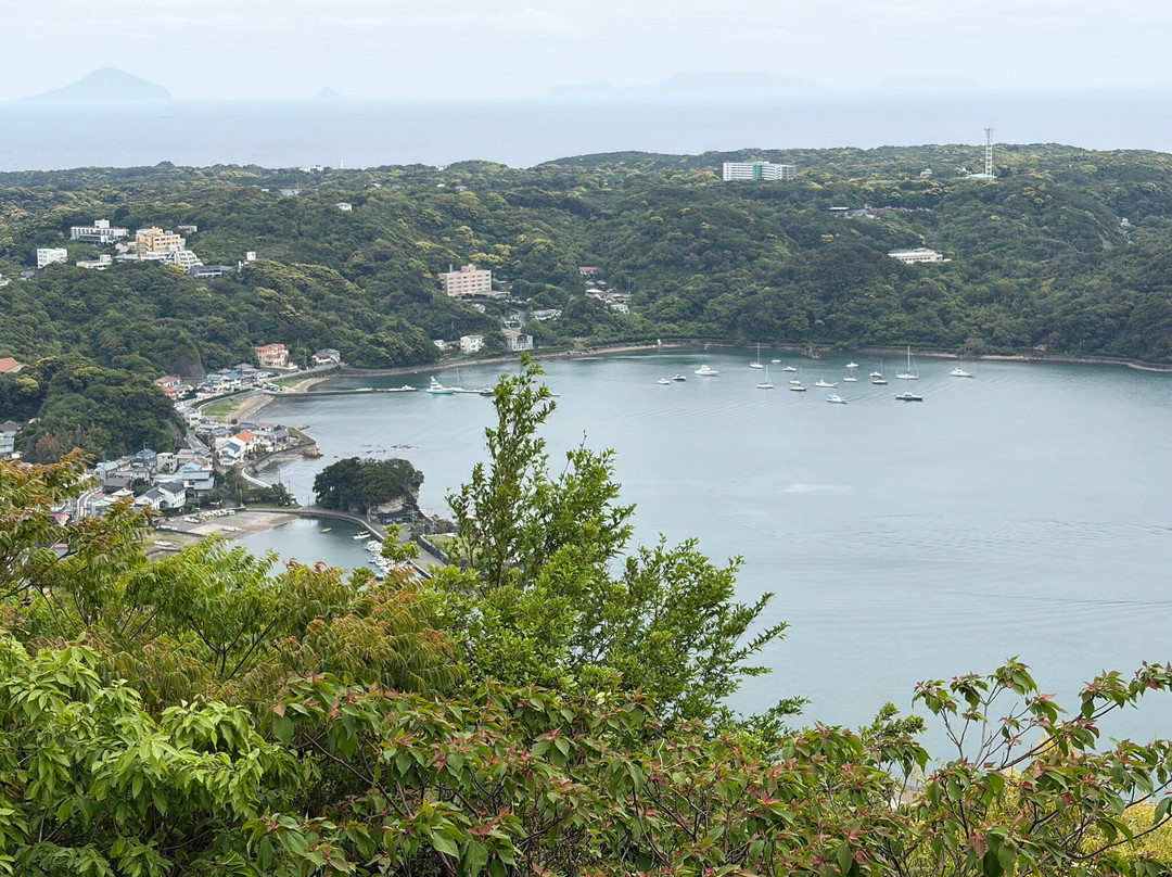 Jogasaki Beach Picnical Course-伊东市必去景点