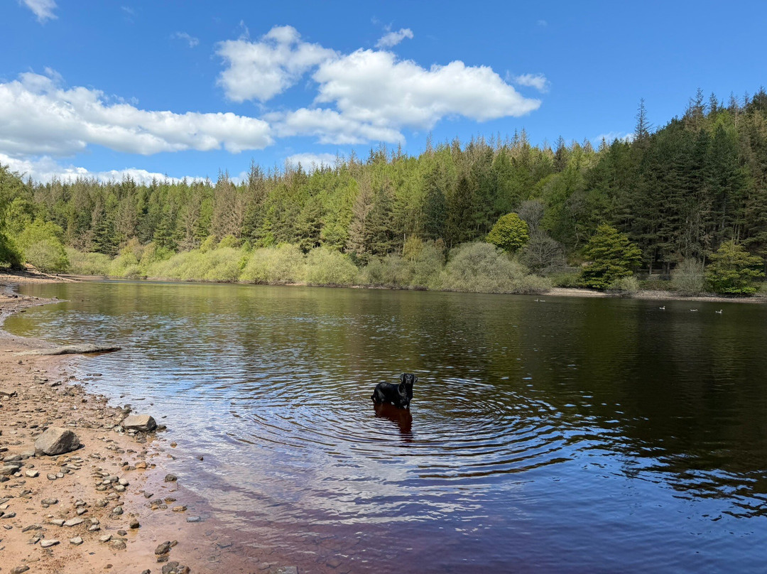 Langsett Reservoir-Langsett必去景点