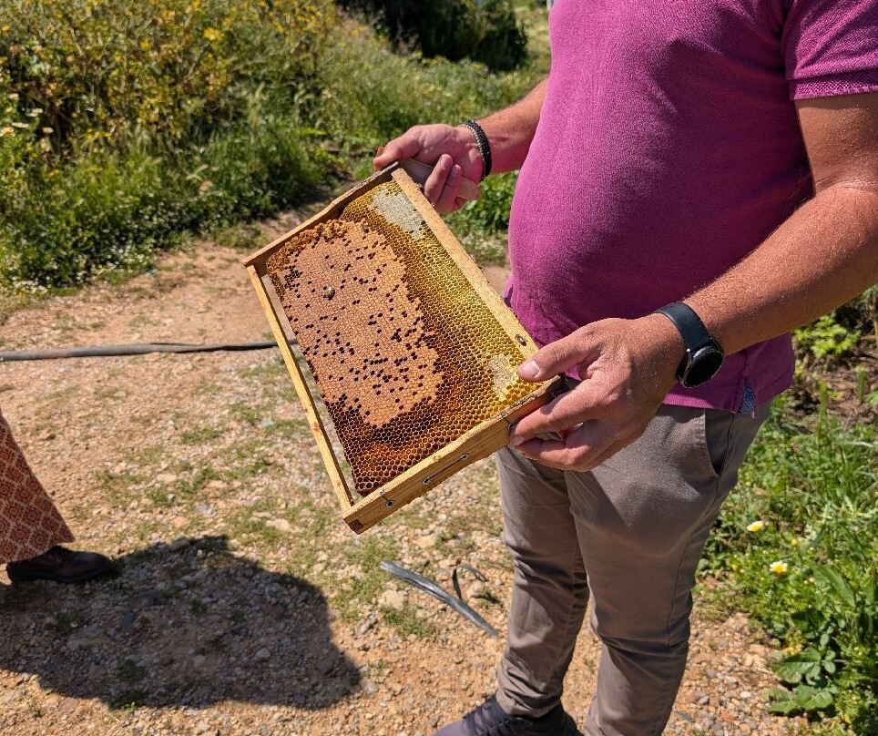 Dousakis Honey Beekeeping Tours-Rodopos必去景点