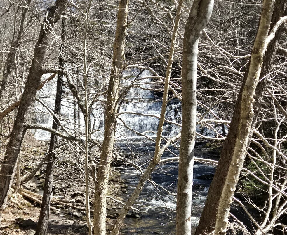 Egypt Falls-Margaree Harbour必去景点