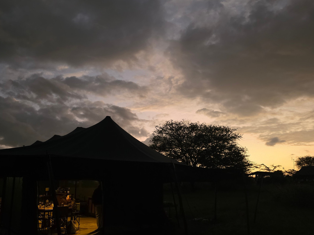 Kimbilio Serengeti Camp主图
