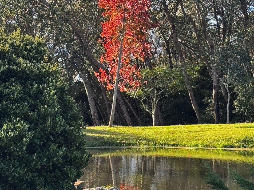 Jardín Japones Punta-Maldonado必去景点